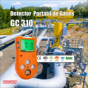 Catálogo Detector de Gas Portátil GC310